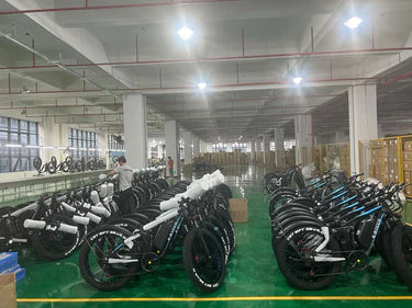 GAMVIRE FACTORY REAL SHOT