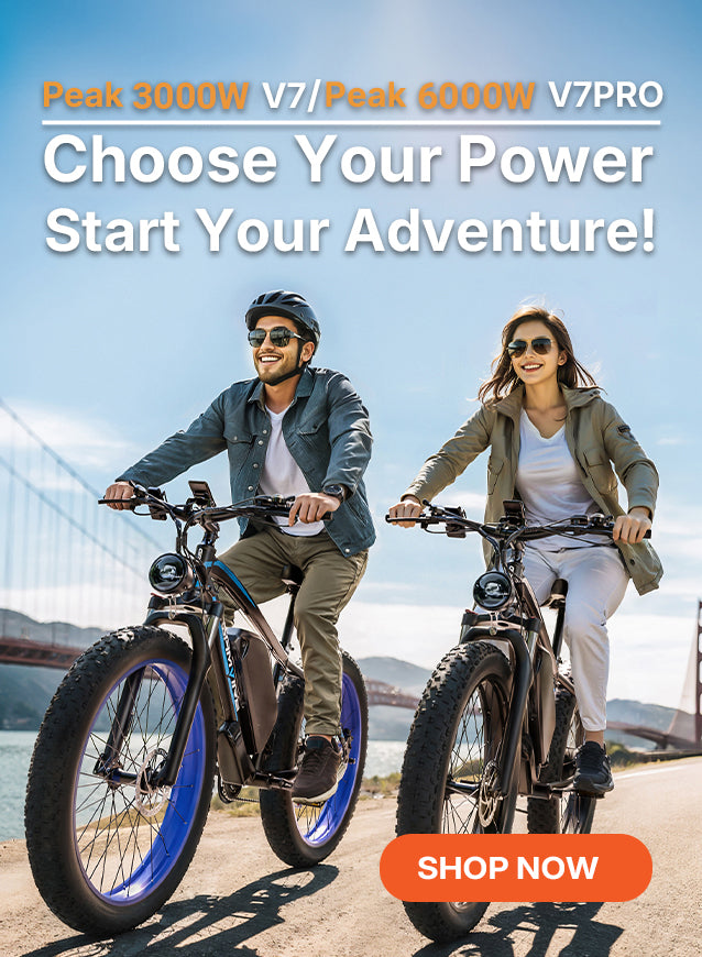 GAMVIRE e-bike
