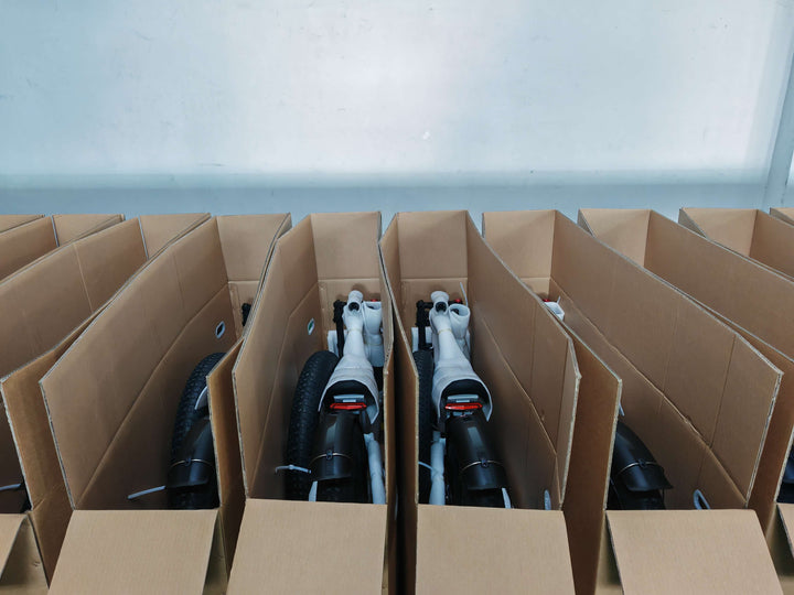 GAMVIRE FACTORY REAL SHOT